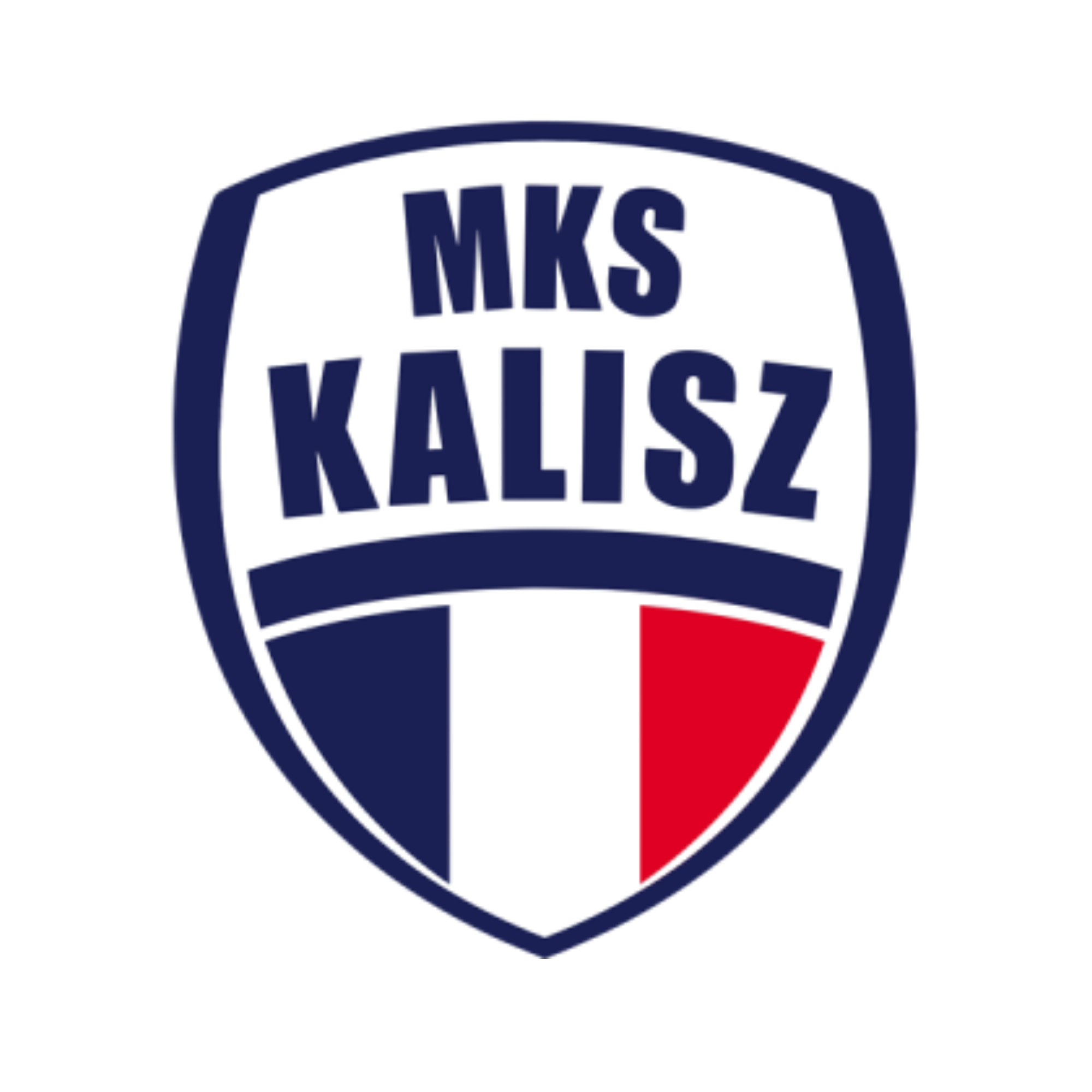 NETLAND MKS Kalisz
