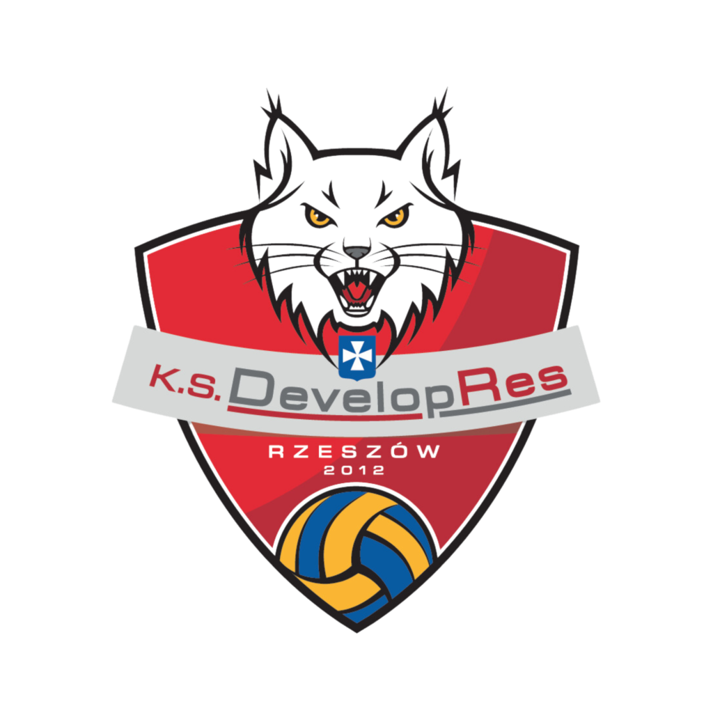 logo k.s. developres