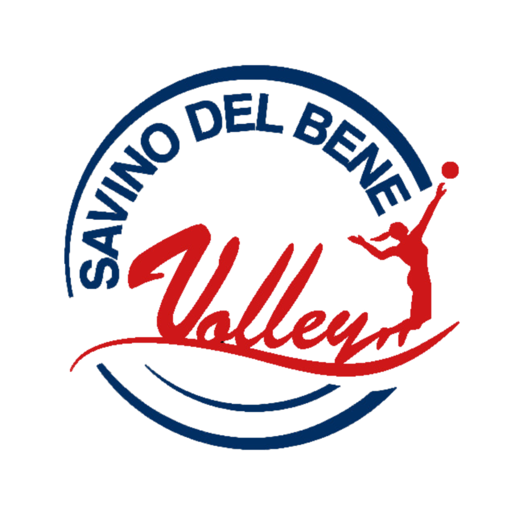logo savino del bene